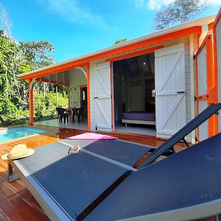 Caraibes Cottages Corail Piscine Privee A 900M De La Plage De Grande Anse Deshaies Kültér fotó