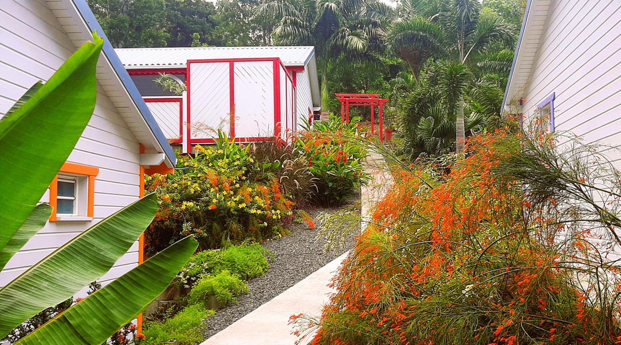 Caraibes Cottages Corail Piscine Privee A 900M De La Plage De Grande Anse Deshaies Kültér fotó