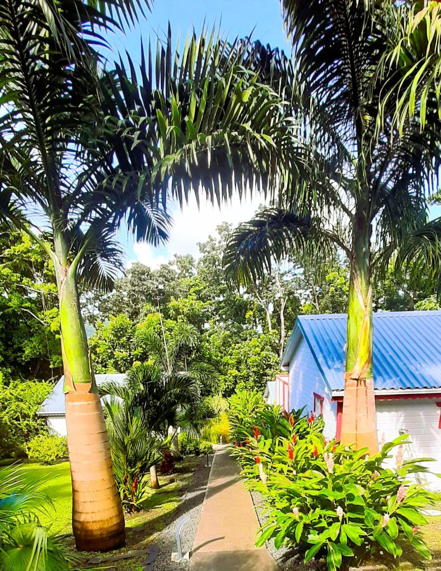 Caraibes Cottages Corail Piscine Privee A 900M De La Plage De Grande Anse Deshaies Kültér fotó
